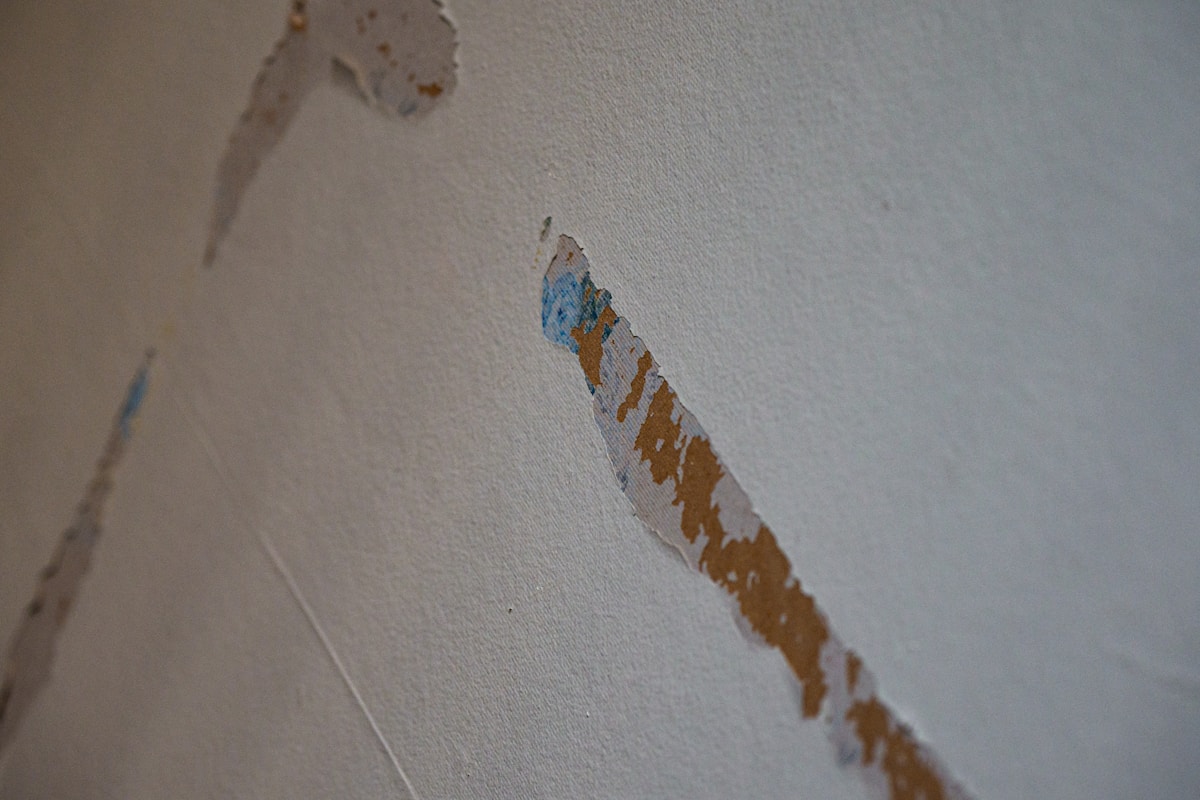 Sewage Cleanup service in Centreville, VA